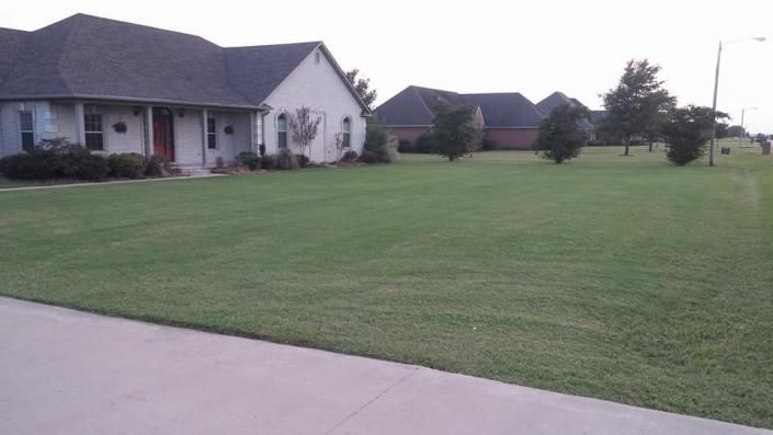 Suburban homes beside a large green lawn and concrete driveway under an overcast sky