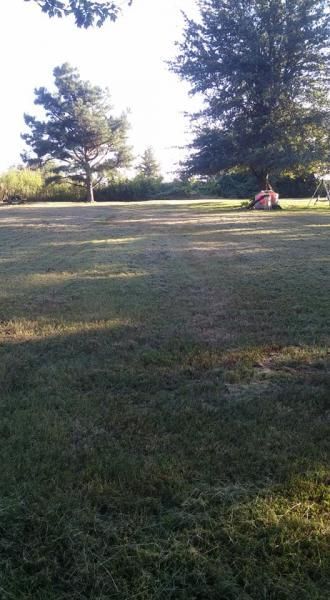 Grassy park with tall trees in soft evening light, and a person sitting near the right side.