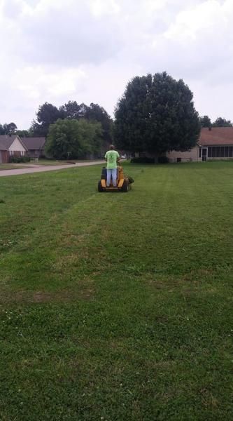Child riding a yellow toy vehicle on a grassy lawn near suburban houses and a large tree