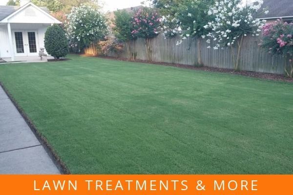 Manicured green lawn beside a house, fence and flowering shrubs, with “LAWN TREATMENTS & MORE” banner