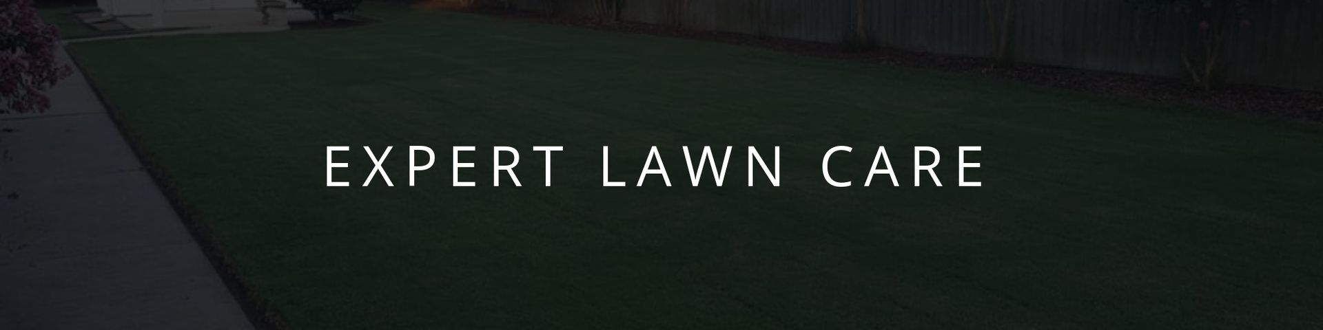 Expert lawn care text on a dark green background with a grass texture