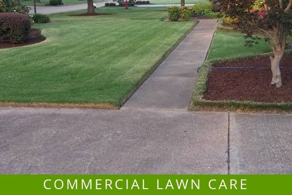 Commercial lawn care with a neatly trimmed green lawn and walkway in a residential yard.