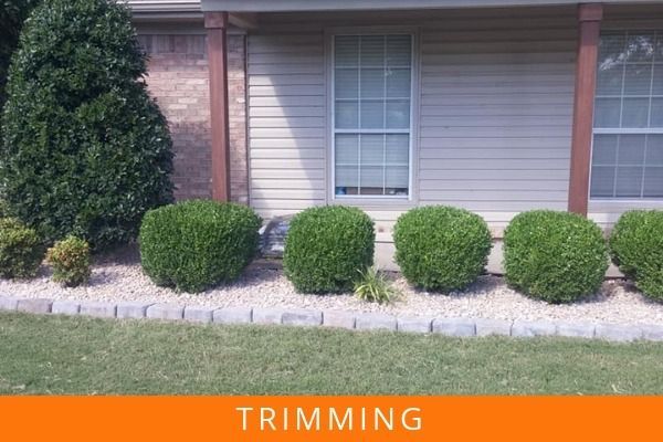 Neatly trimmed shrubs along a house foundation with an orange “TRIMMING” banner.