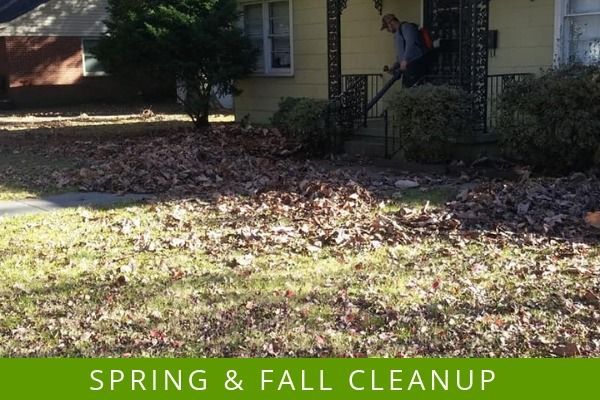 Yard covered with fallen leaves; text reads “Spring & Fall Cleanup”