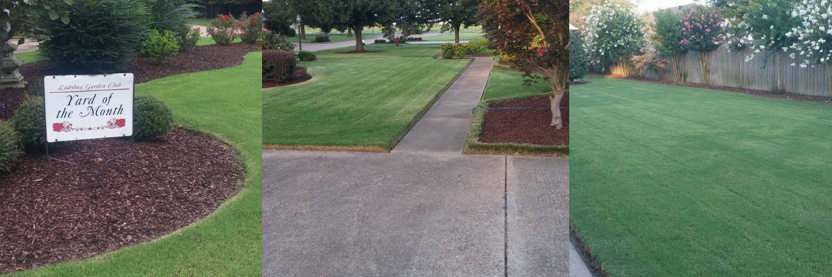 Campus lawn and sidewalk with a small sign, mulched landscaping, and trees in the background