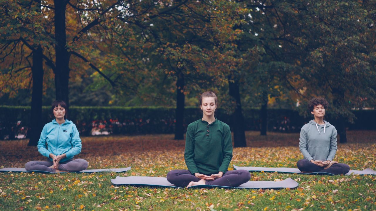 Yoga Classes