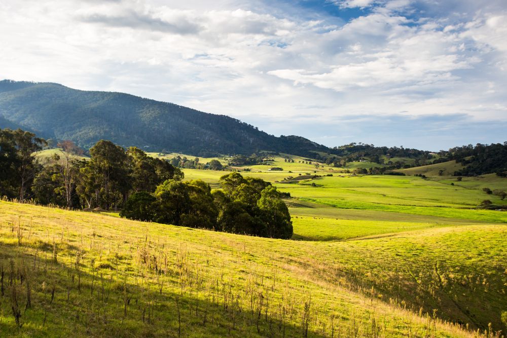 A View Of A Lush Green Field With Mountains — Reynolds Built In Little Mountain, QLD