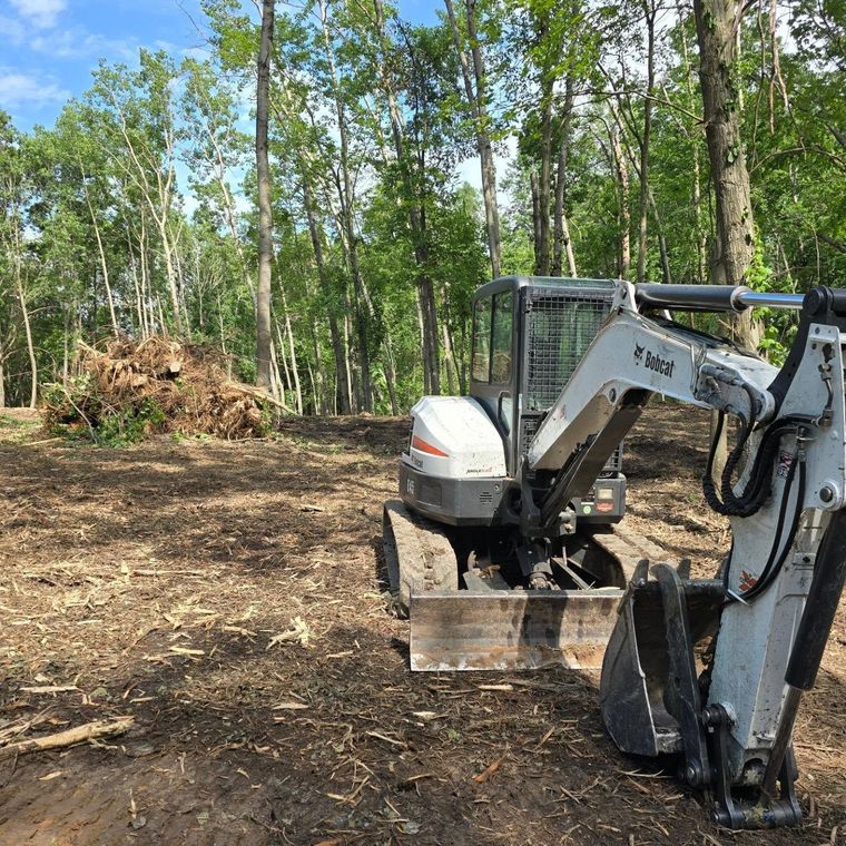 Mini excavator on a dirt clearing beside a wooded area, with a pile of cleared brush in the background