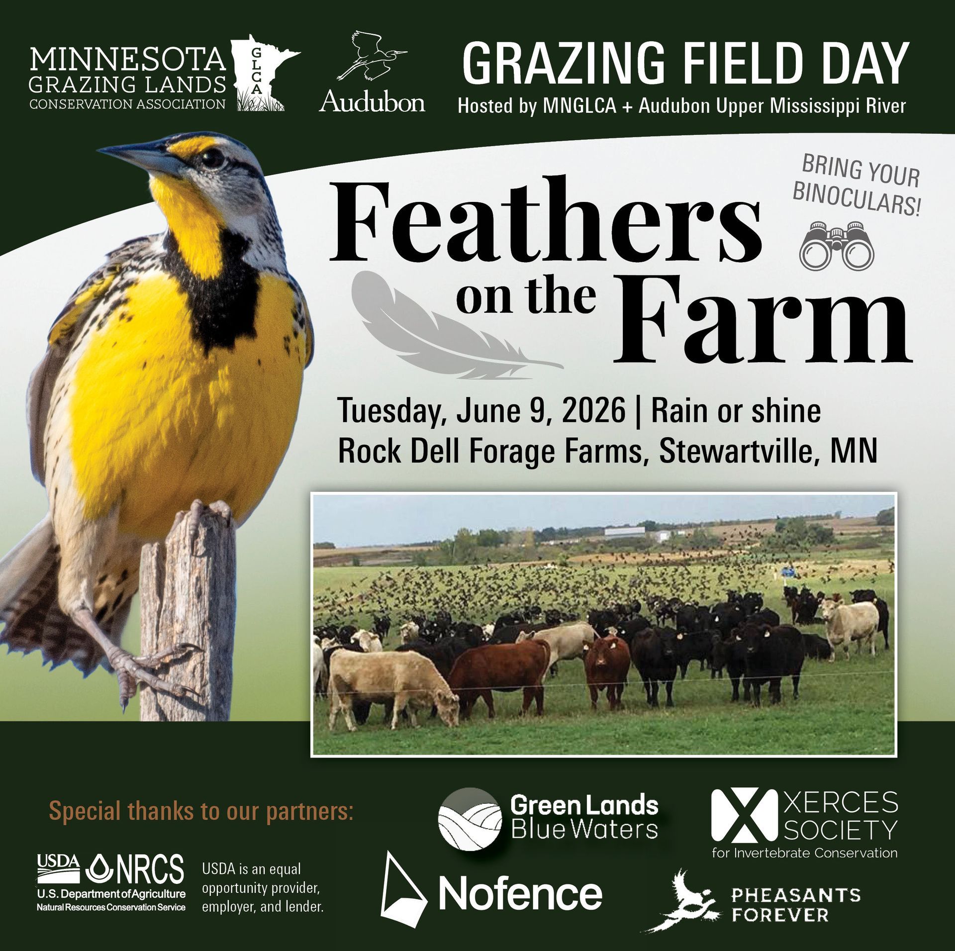 Feathers on the Farm: Grazing Field Day