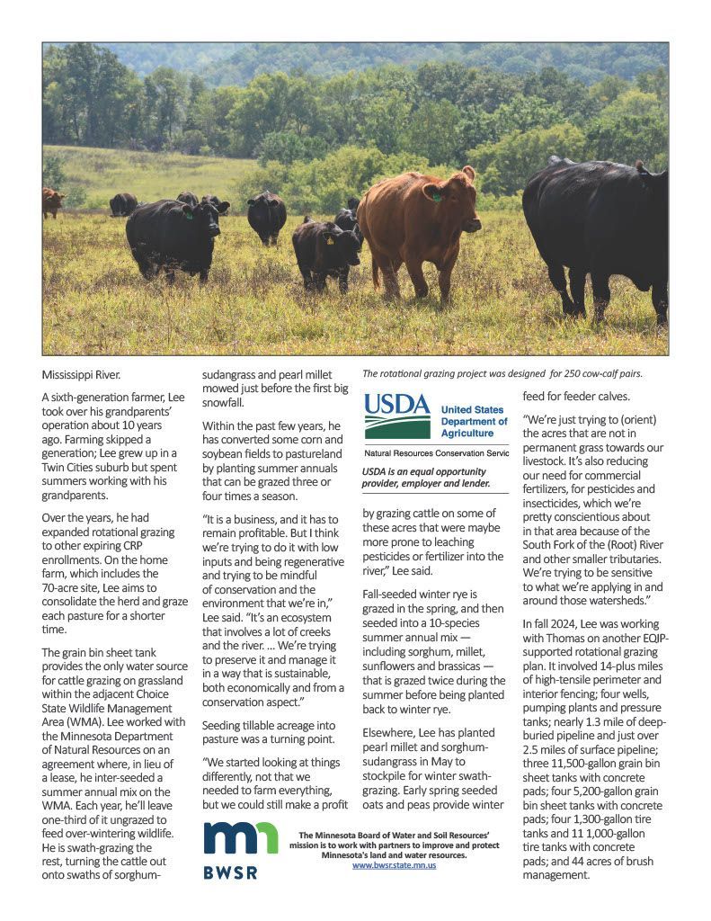A group of cows are standing in a field.
