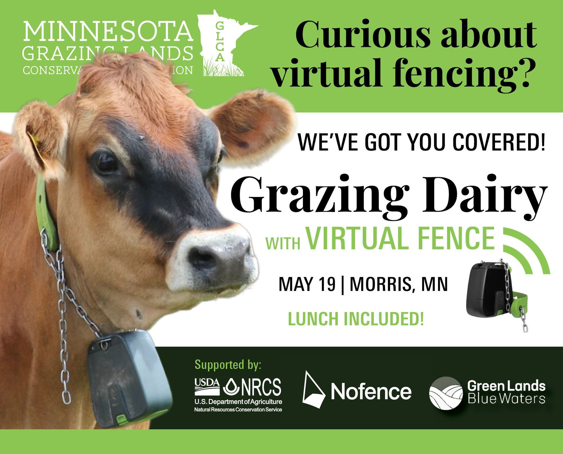 Virtual Fencing & Dairy Grazing field day
