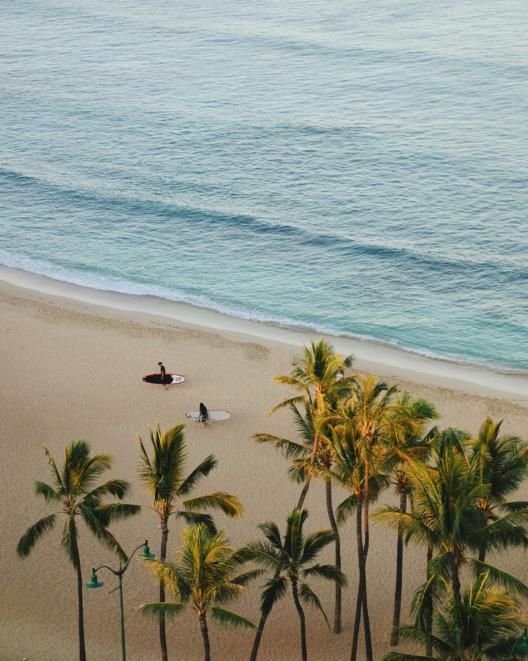 Aerial view of a sandy beach with palm trees, turquoise water, and two people near the shore.