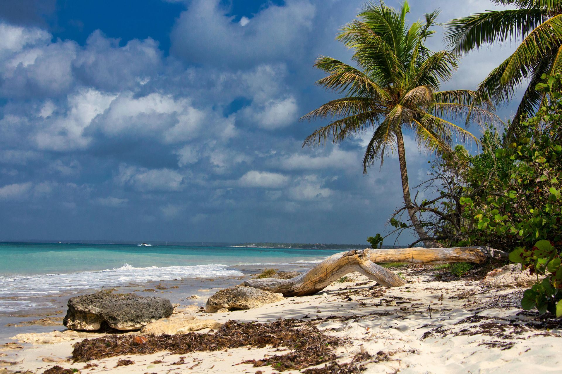 Tropical beach with palm trees, turquoise water, and a cloudy sky