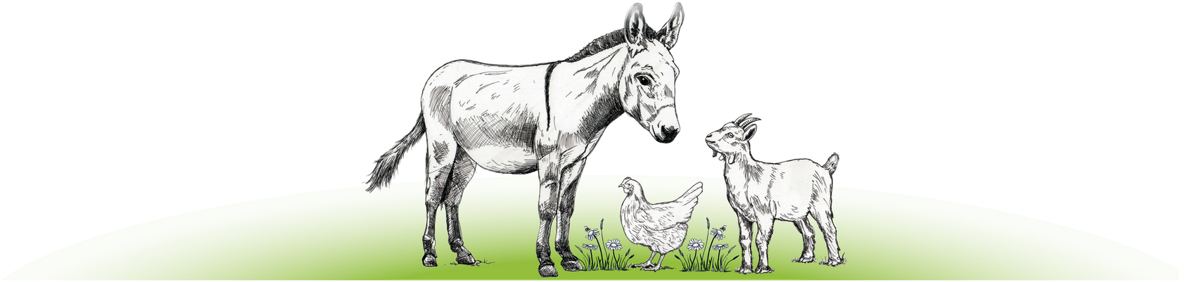 A black-and-white sketch of a donkey, a chicken, and a goat standing together on a green grassy patch.