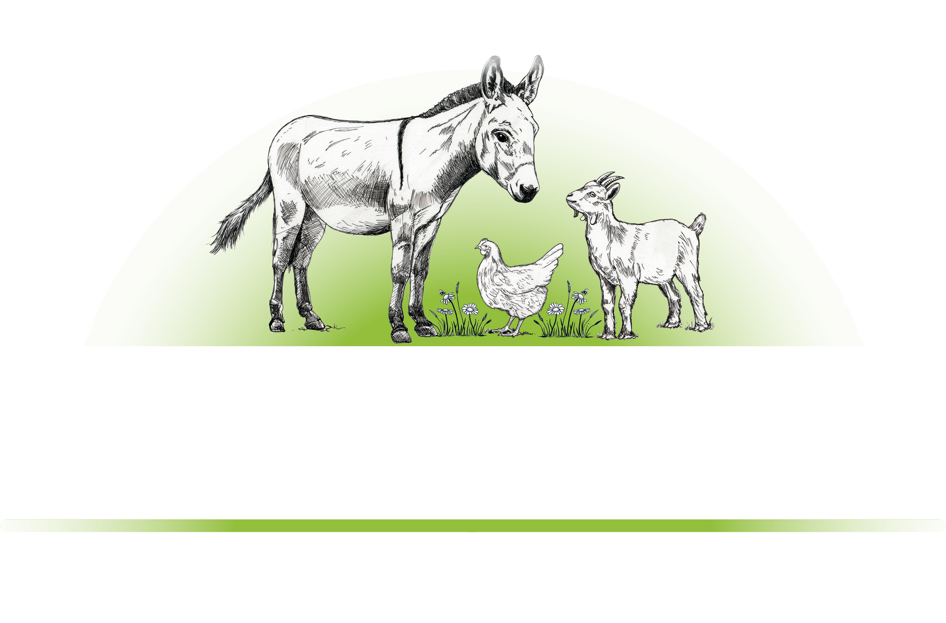 A sketch of a donkey, a goat, and a chicken standing together on a patch of grass against a white background.