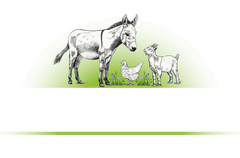 A sketch of a donkey, a goat, and a chicken standing together on a patch of grass against a white background.