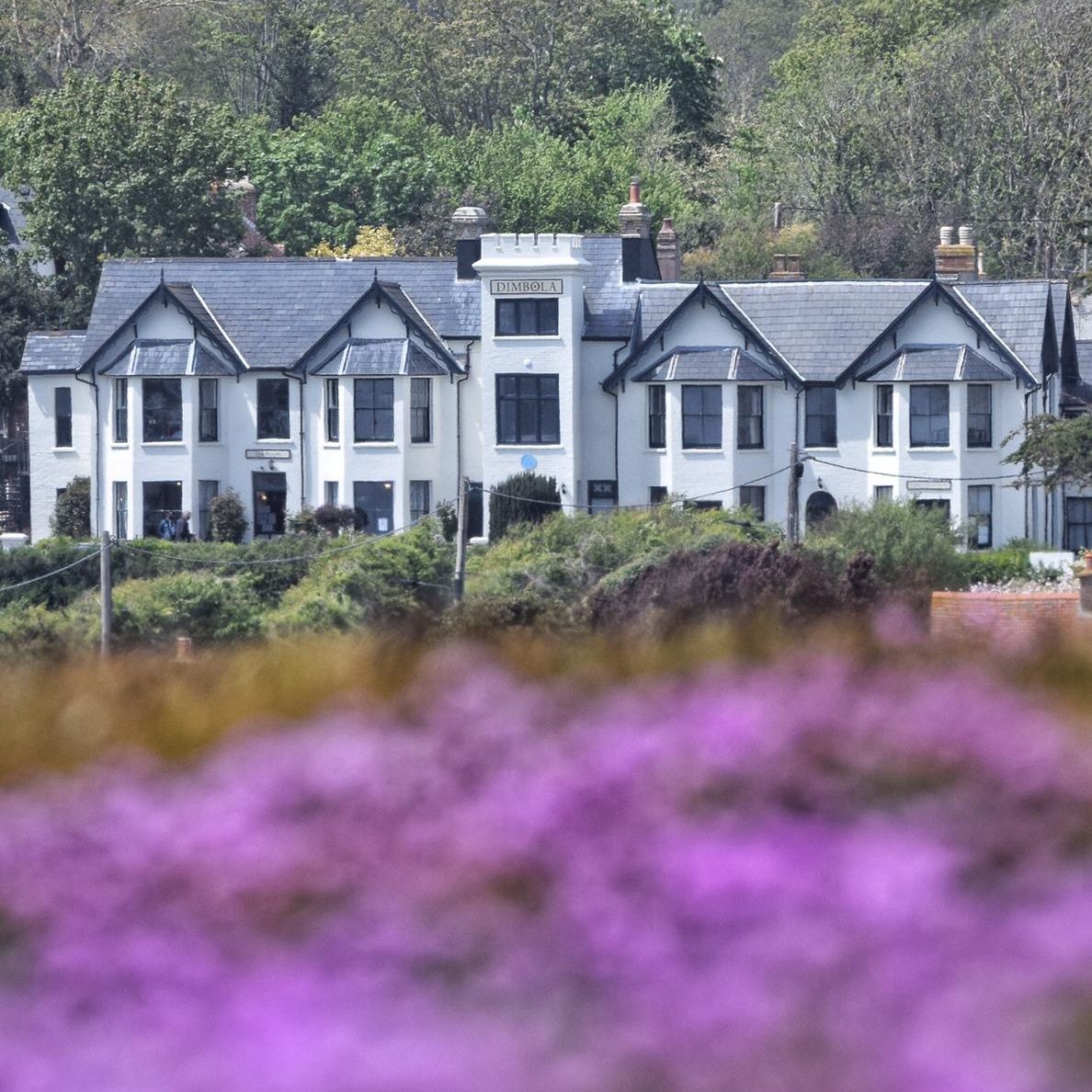 A white, multi-gabled manor house sits behind a vibrant foreground of out-of-focus purple flowers.