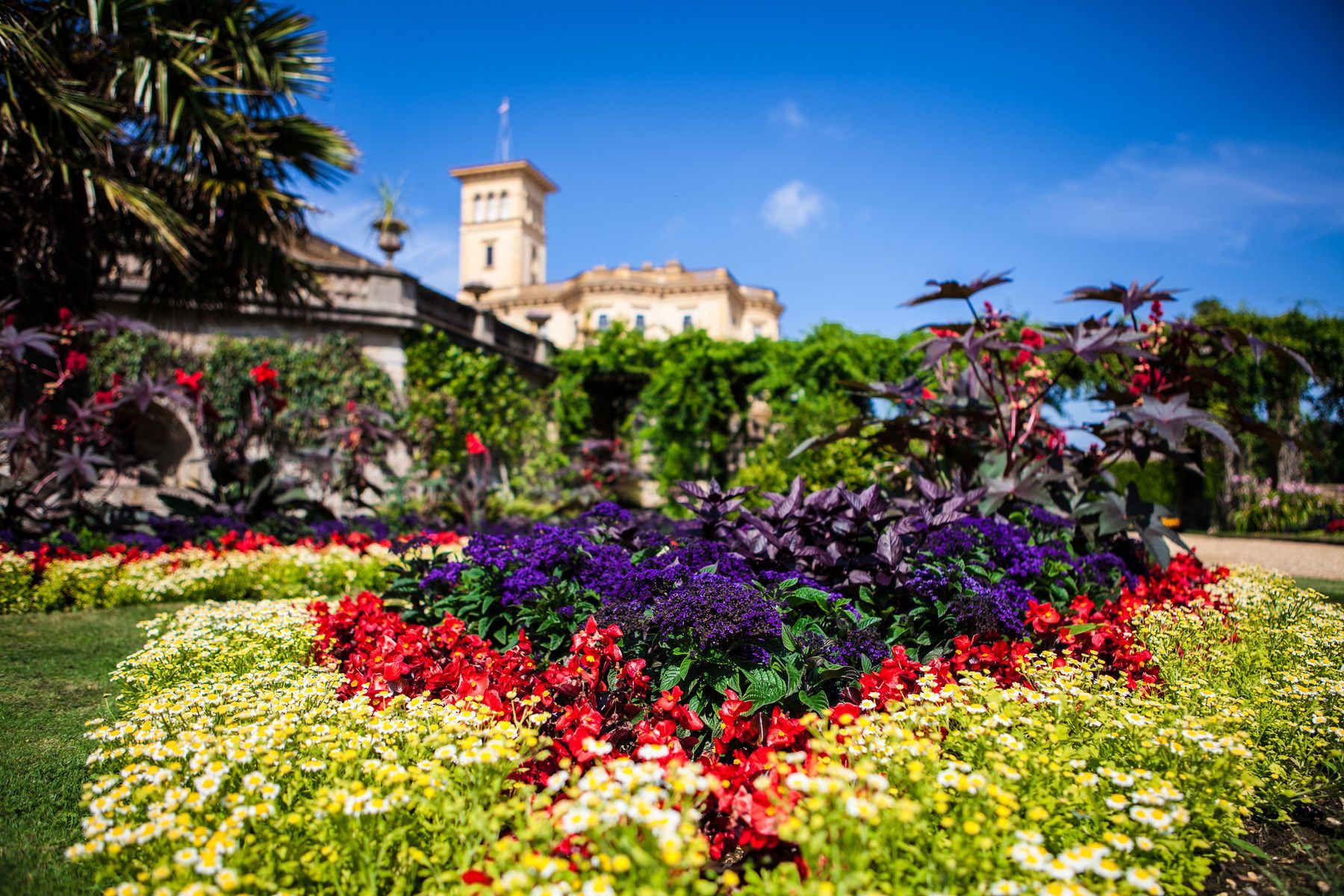 A colorful flower bed with purple and red flowers in the foreground, with an ornate historic palace in the background.