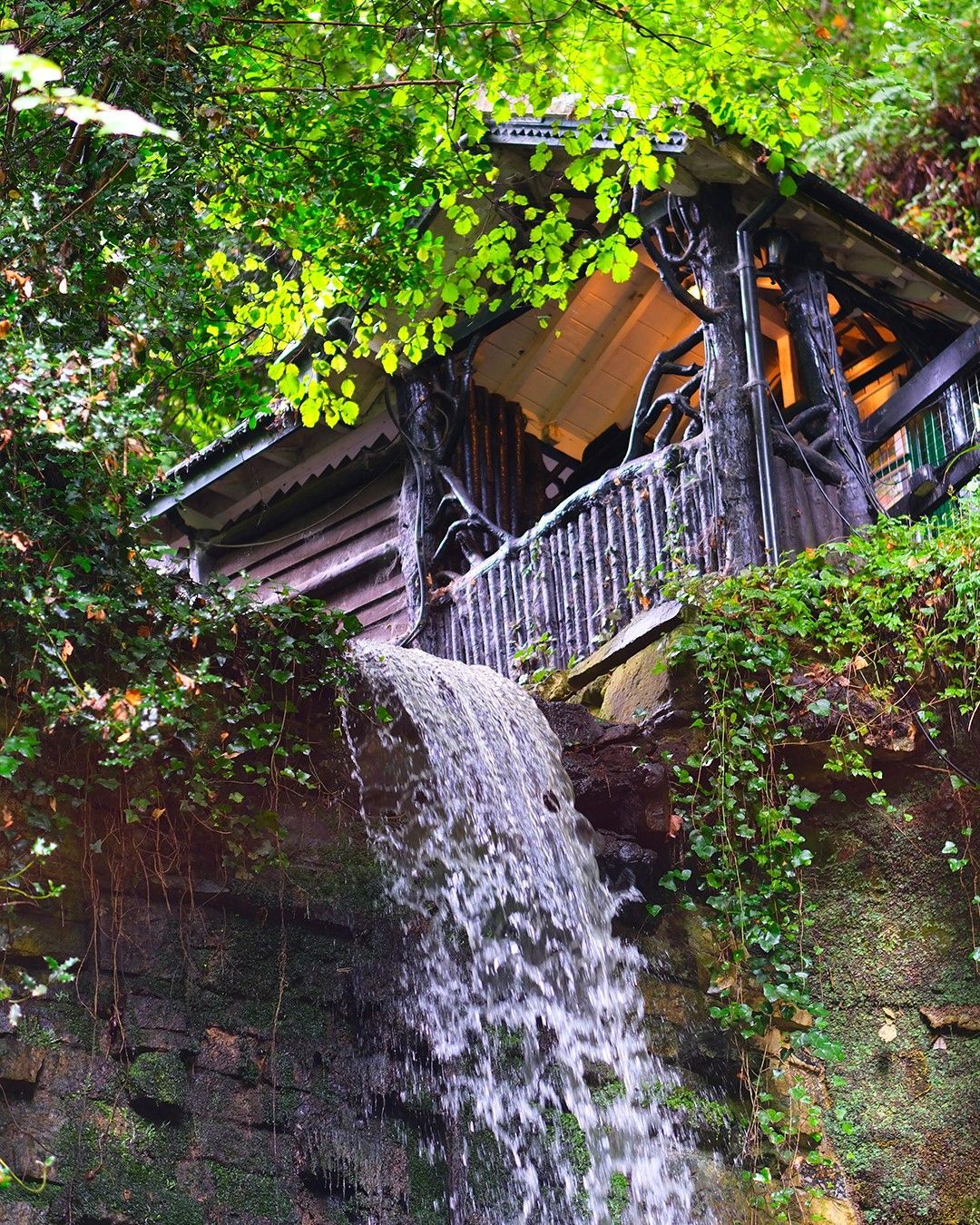 A rustic wooden structure with a porch sits nestled among lush greenery, with a waterfall cascading directly below it.