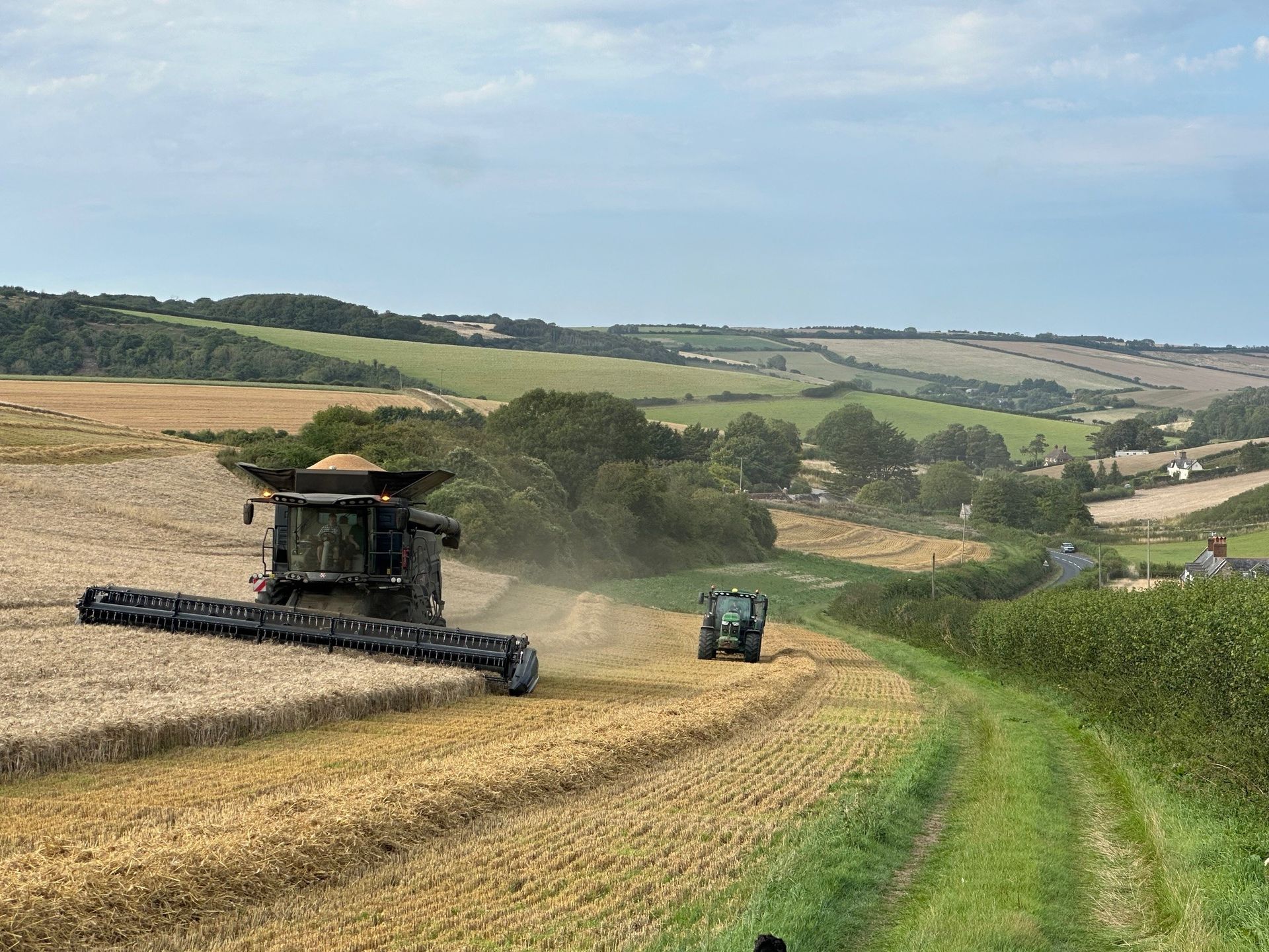 Two combine harvesters working in a golden field beside a grassy track under a blue sky