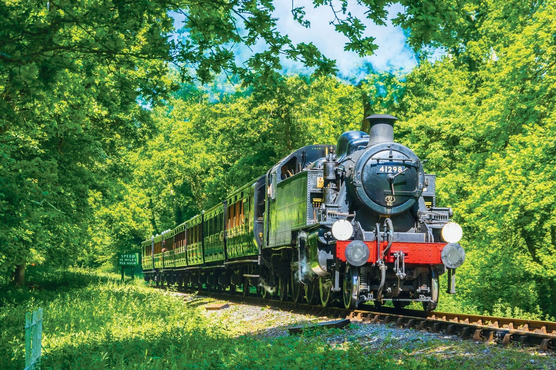 A vintage black steam locomotive pulling passenger carriages through a lush, green forest on a bright, sunny day.