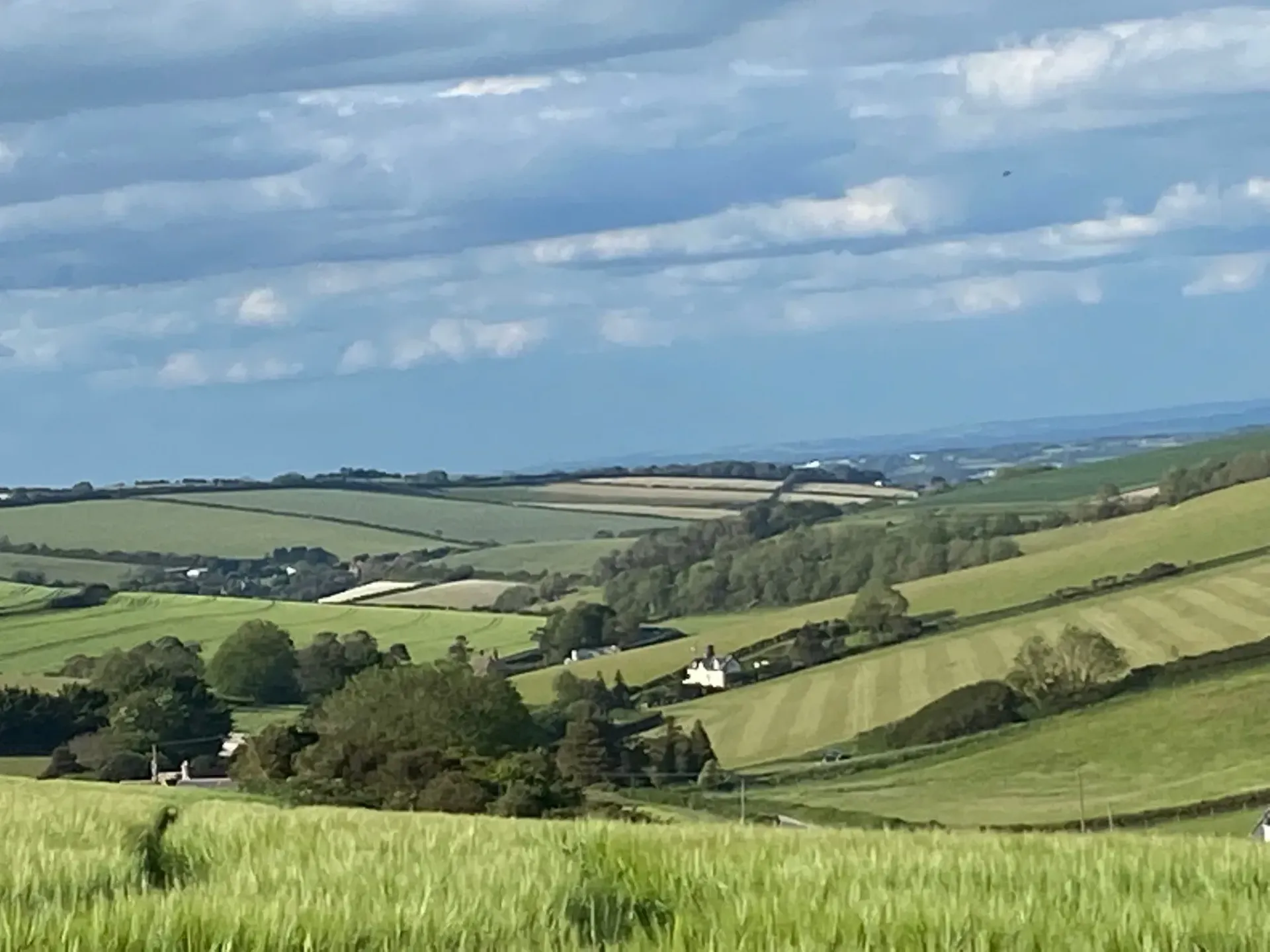 A vast, hilly rural landscape with bright green pastures, fields of crops, clusters of trees, and a lone white building.