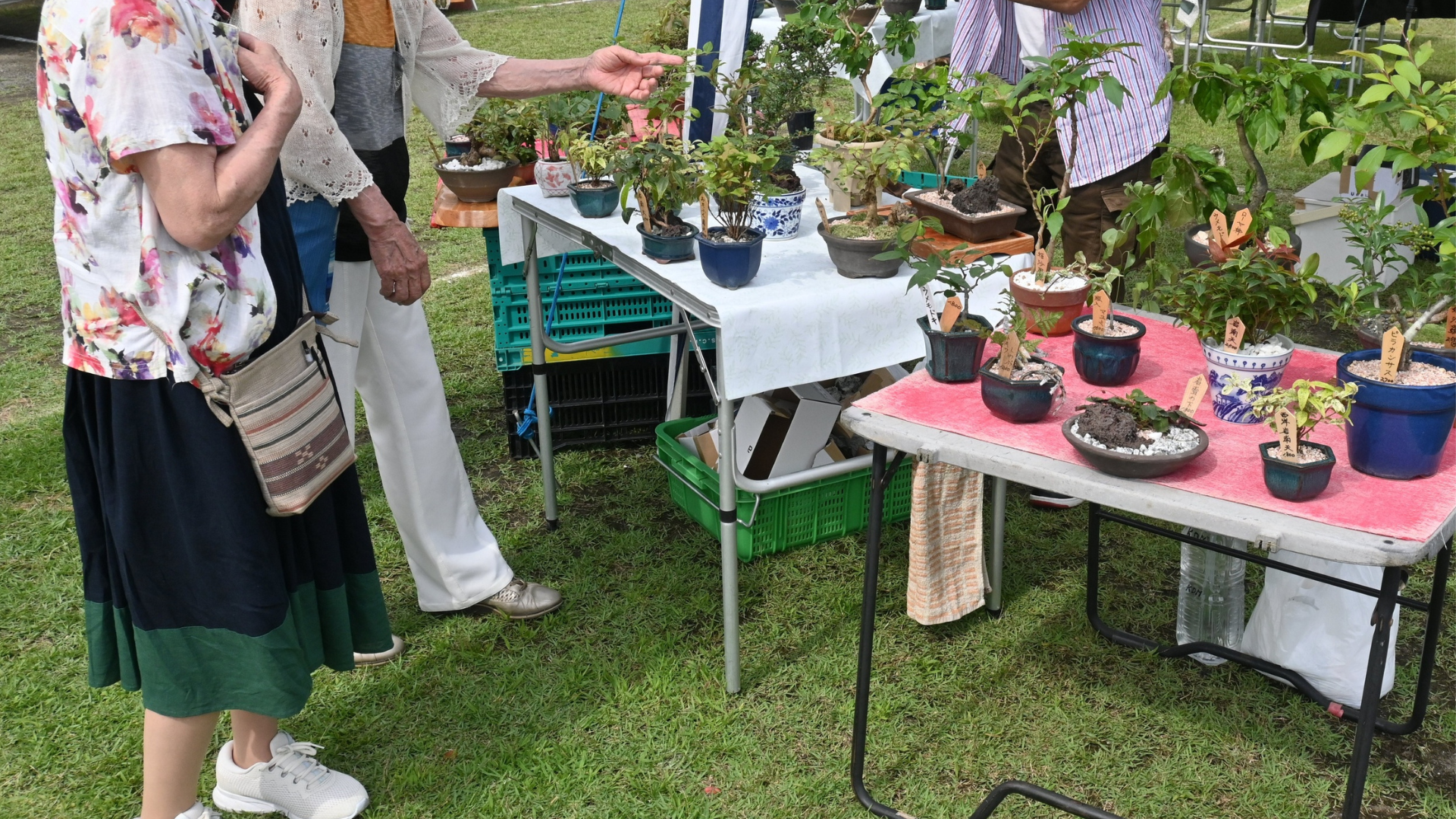People browsing potted plants at an outdoor garden sale on tables with pink and white cloths