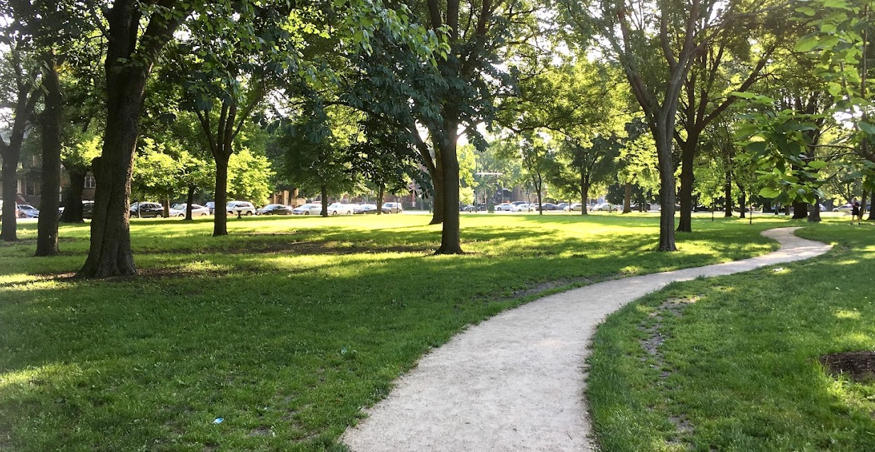 A winding gravel path leads through a lush, green public park with mature trees on a bright day.