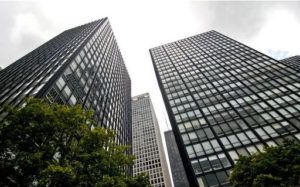 Looking up at two tall buildings with trees in the foreground