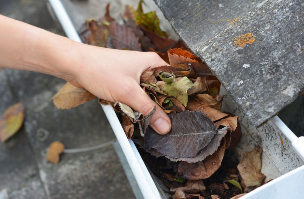 Hand cleaning leaves from a white gutter on a roof.