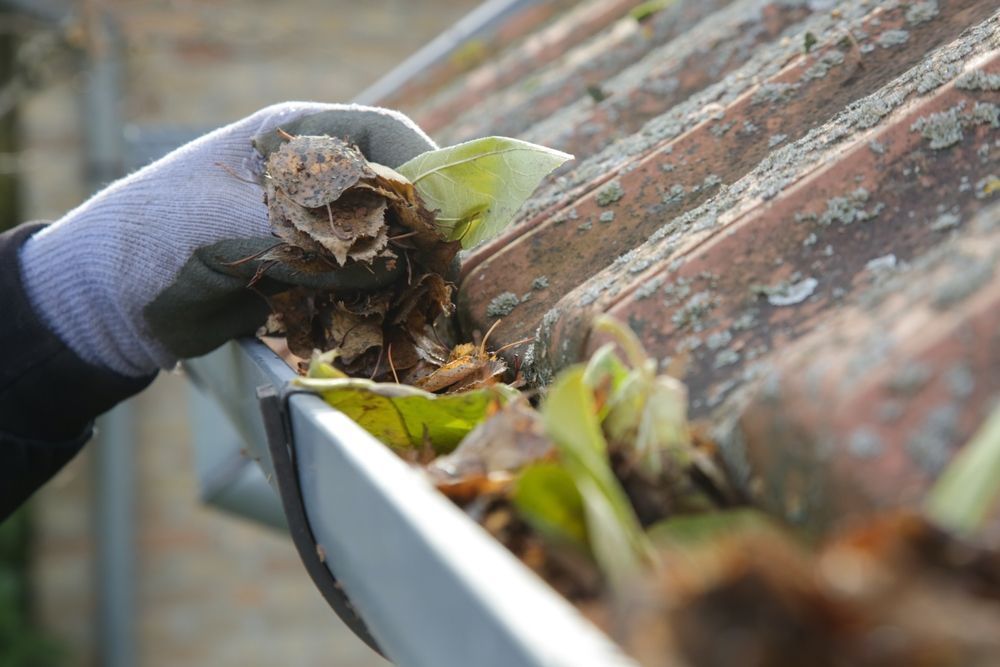 Gloved hand cleaning a gutter filled with leaves and debris on a red tiled roof.