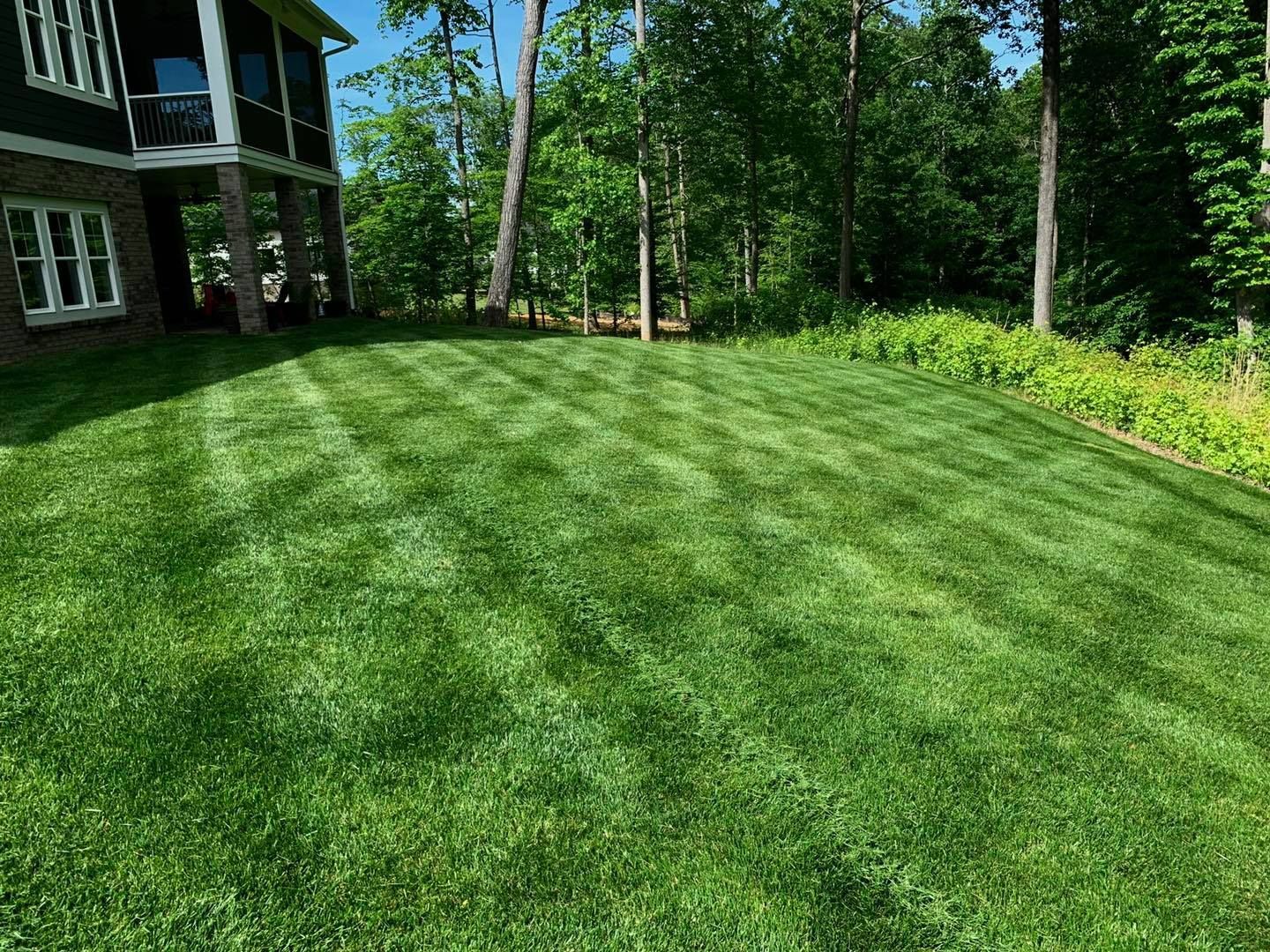A well-manicured lawn with a cross-hatch mowing pattern next to a house and a wooded area on a sunny day.