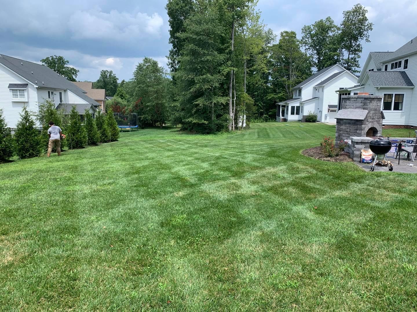 Suburban backyard with mowed grass, trees, and houses on a cloudy day.