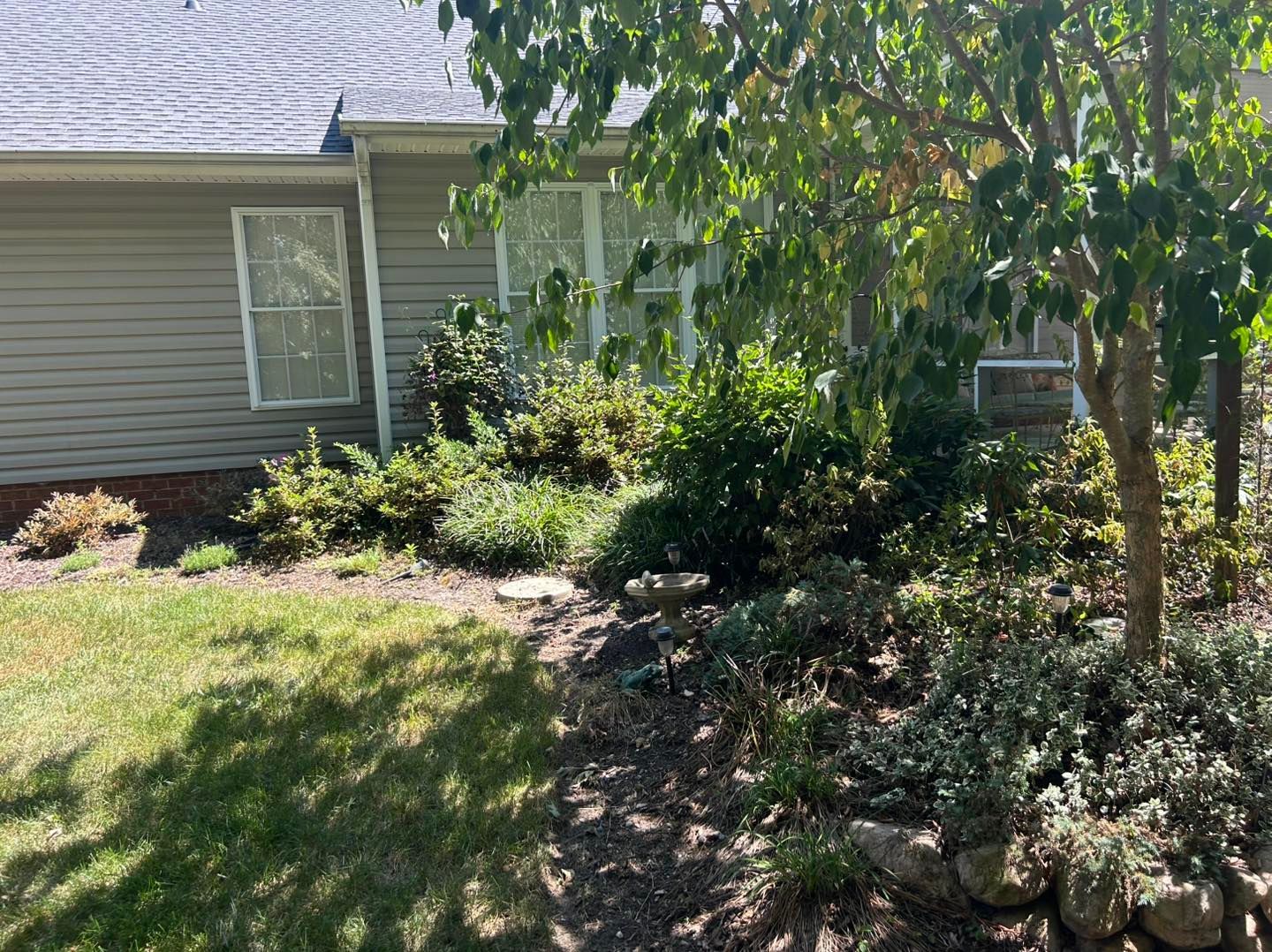 Single-story house with a front yard, shrubs, a tree, and sunlight on the lawn