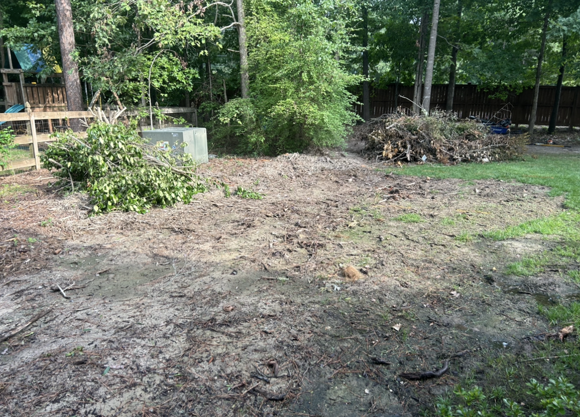 Bare dirt patch in a wooded yard with shrubs and trees in the background