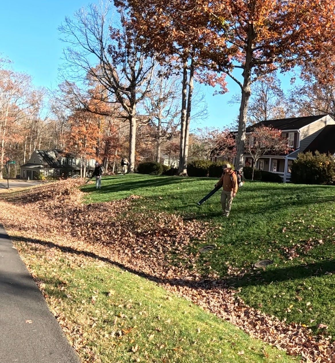 Autumn neighborhood street with fallen leaves, trees, and two people near the sidewalk