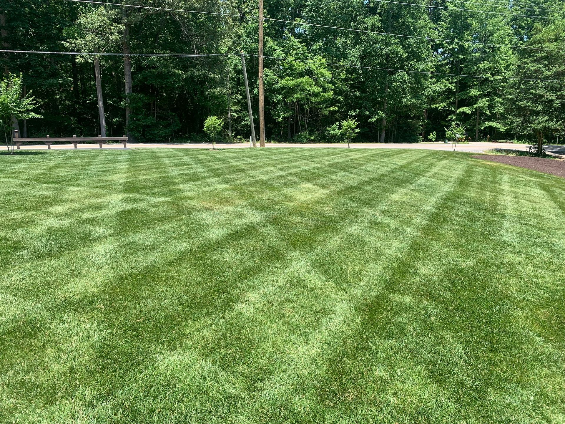 Freshly mowed grassy field with striped patterns, bordered by trees and a wooden fence.