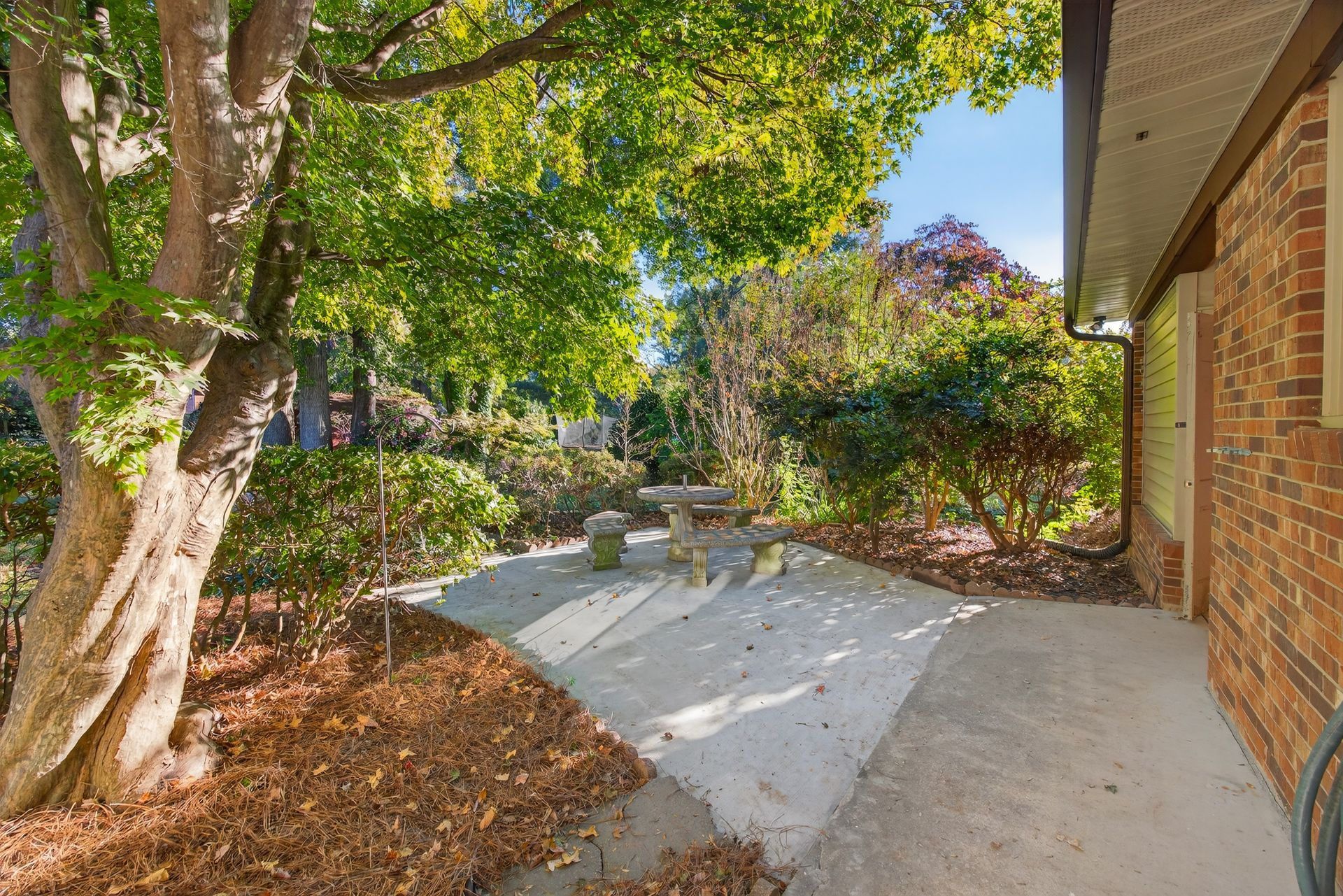 Curved concrete walkway beside a brick house, bordered by trees, shrubs, and fallen leaves in a sunny yard