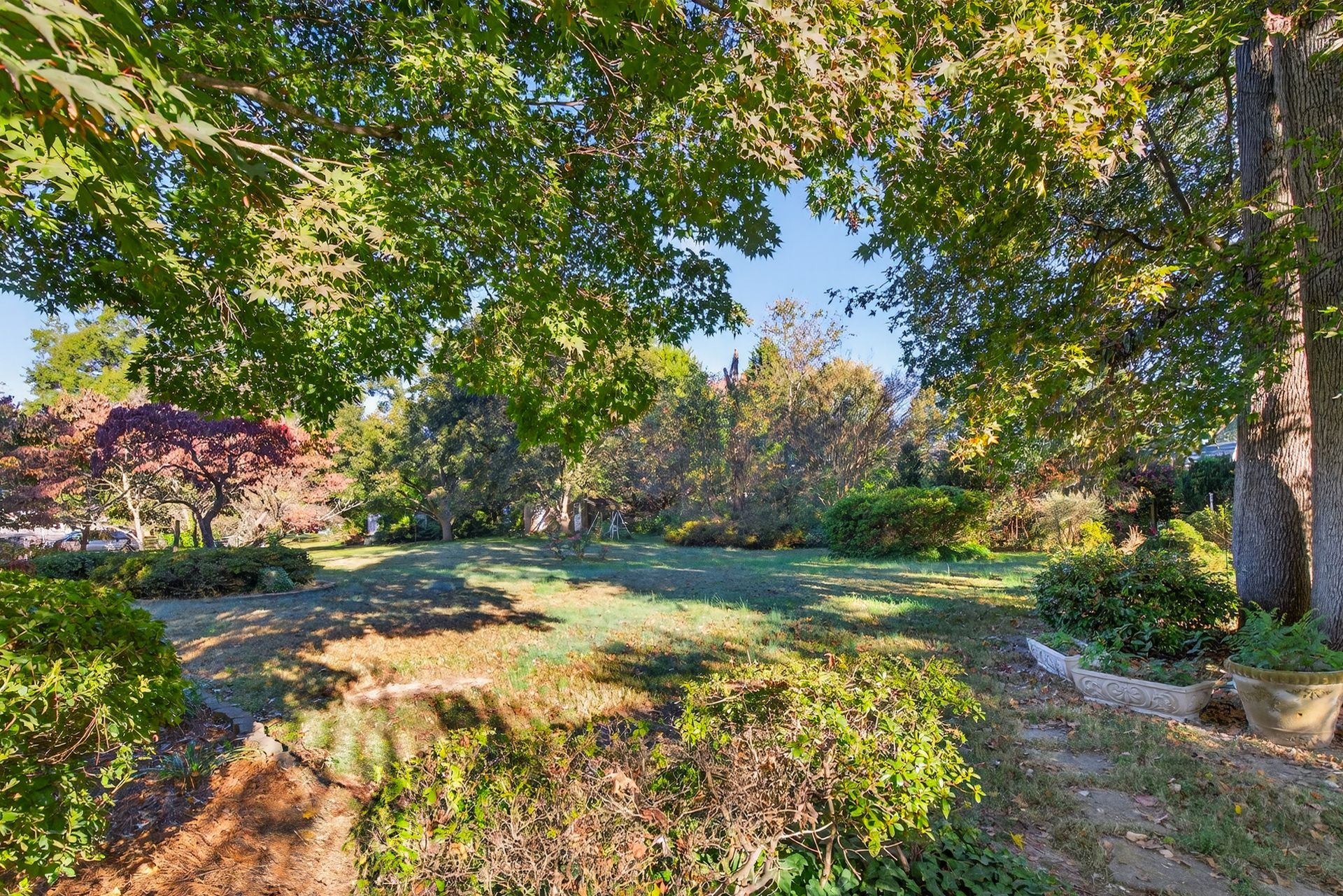 Sunlit garden path with green trees, shrubs, and purple flowering bushes