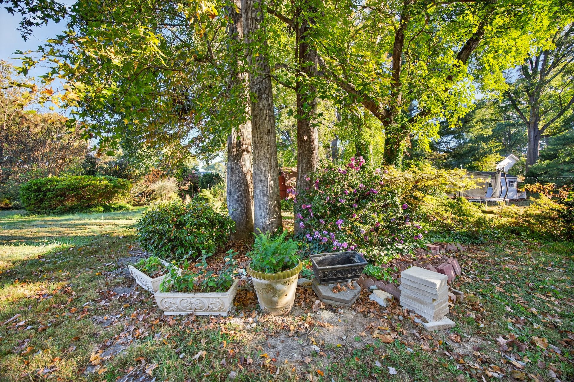 Wooded garden with potted plants, stone planters, and a bench under tall trees in autumn light