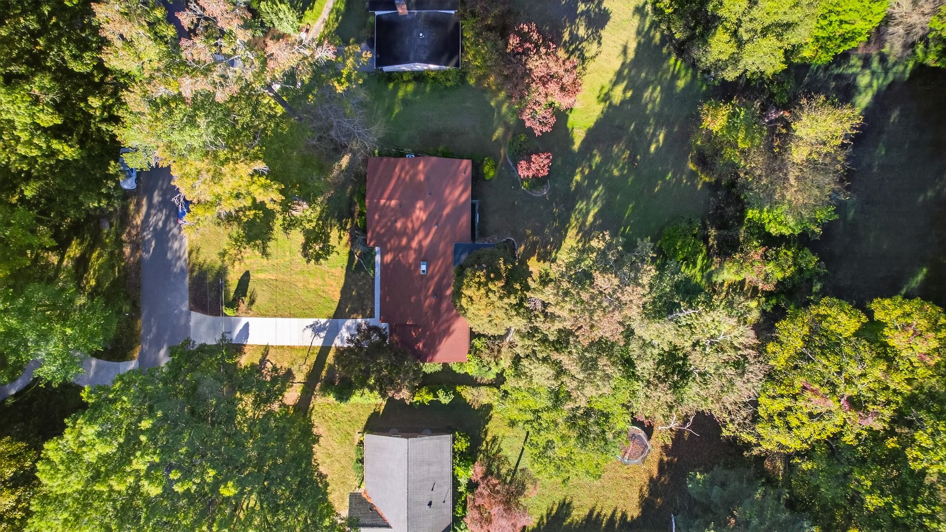Aerial view of a wooded property with a house, shed, and driveway among trees and greenery