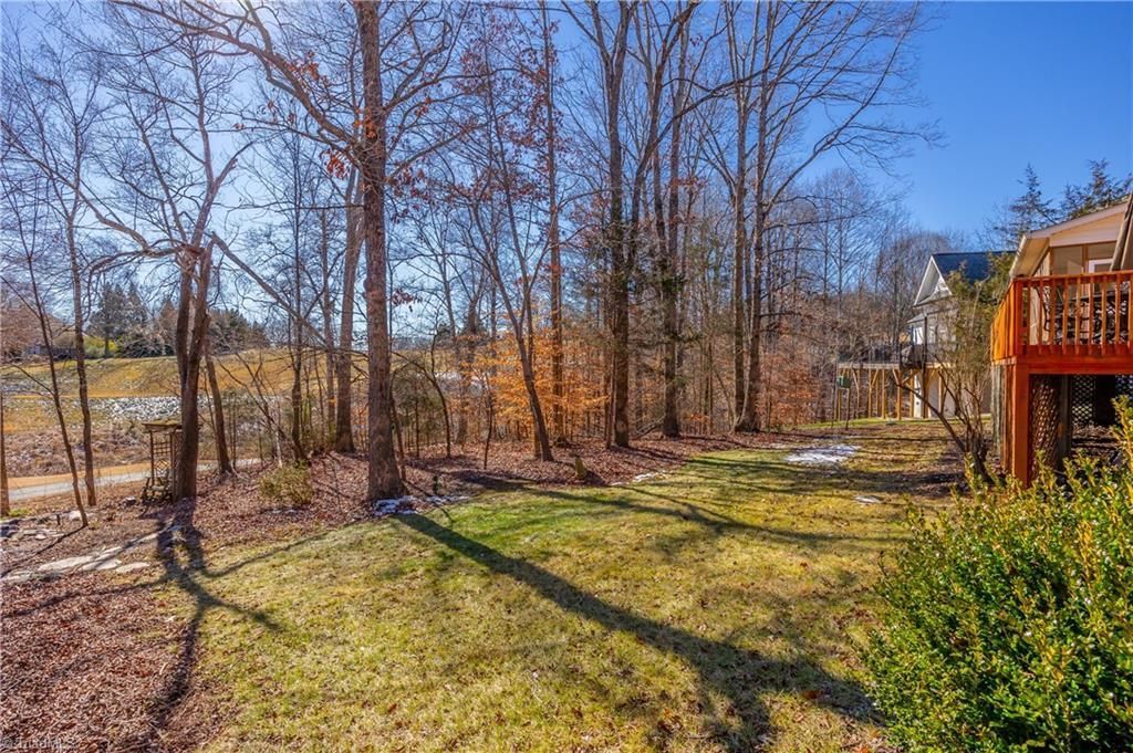 Leafy backyard with bare trees, long shadows, and a wooden deck overlooking a bright landscape.