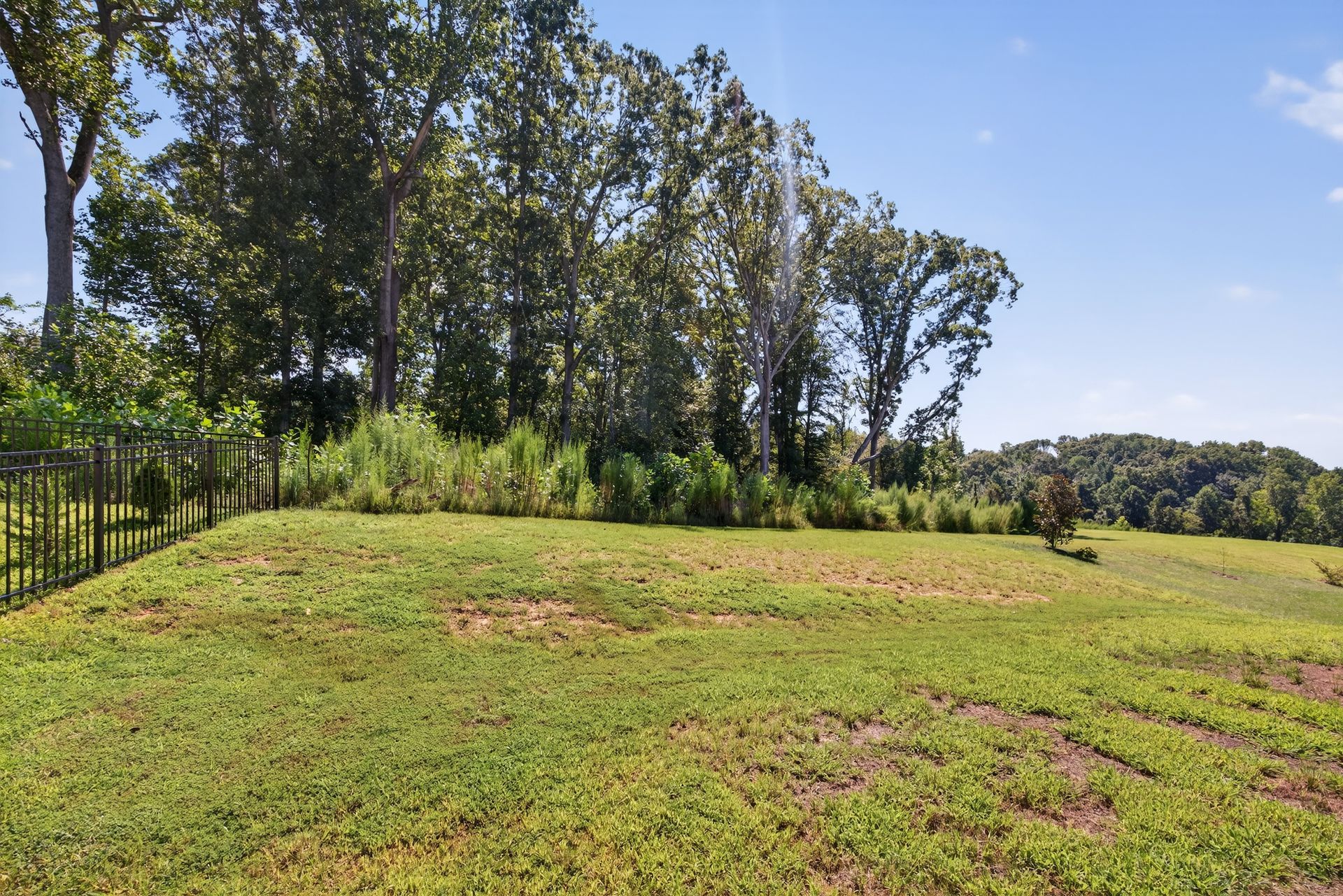 Grassy field with trees and a metal fence under a clear blue sky