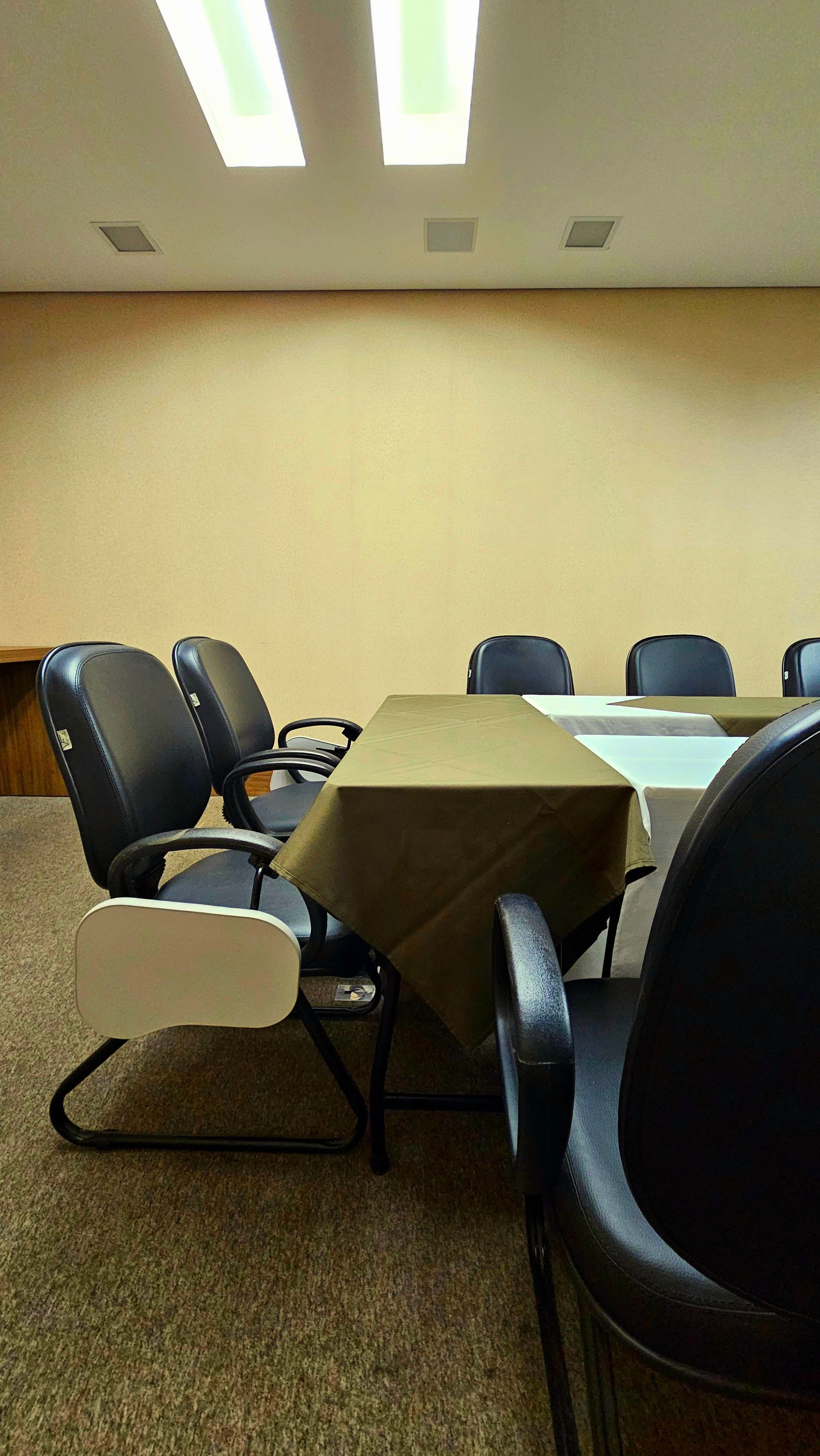 Sala de conferências com cadeiras escuras, mesa com toalha bege e paredes e teto em tons creme com luminárias retangulares.