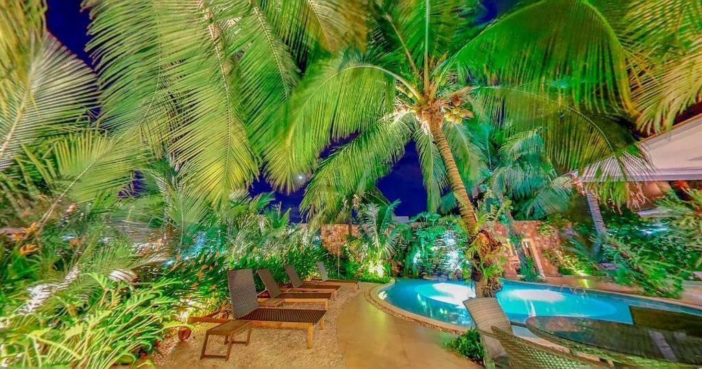 Palmeiras iluminadas à noite, ao lado de uma piscina com espreguiçadeiras, ambiente tropical.