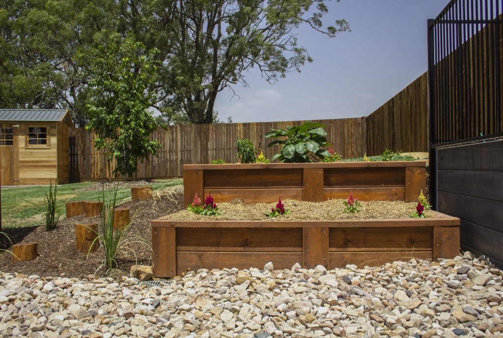 Growing plants, planting seeds. Nature play.  Childcare, kindy, Montessori, Gold Coast, Warwick, Jindabyne.