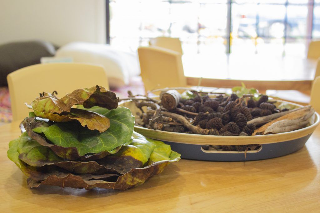 Nature play.  Childcare, kindy, Montessori, Gold Coast, Warwick, Jindabyne.
