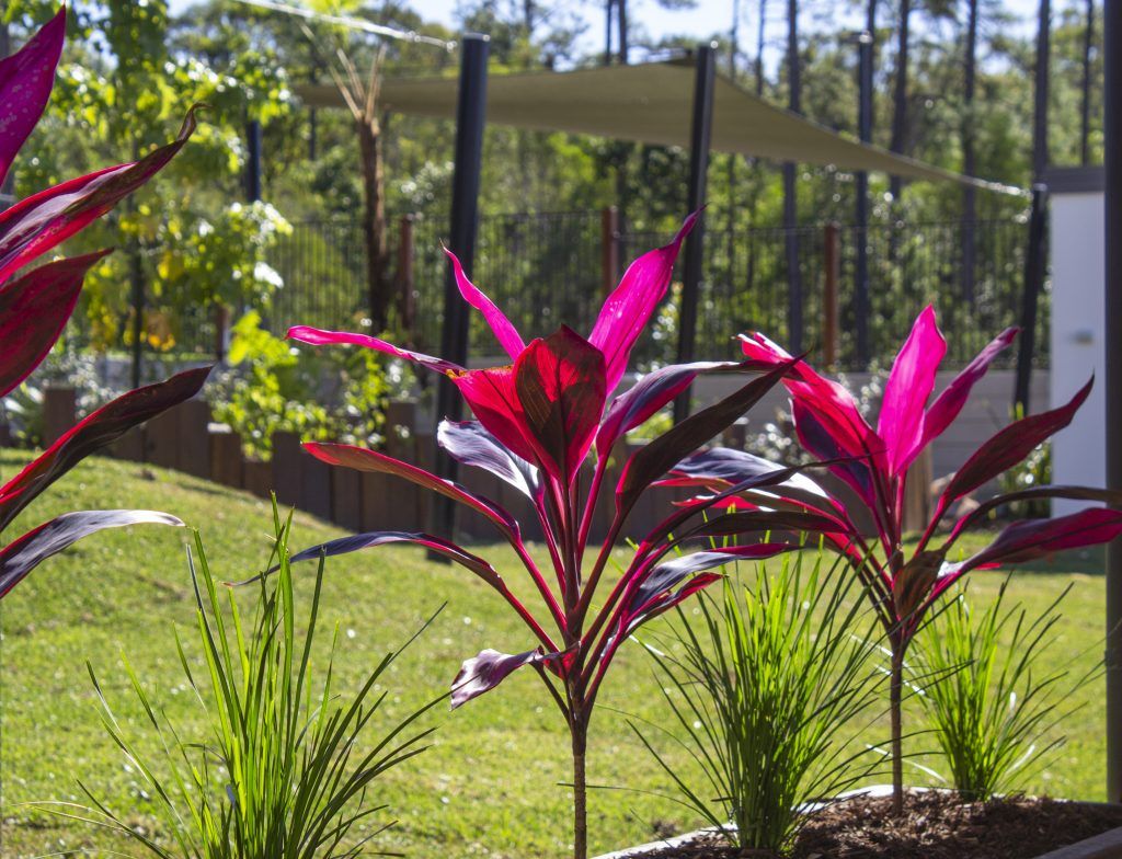 Outdoor playgrounds. Nature play.  Childcare, kindy, Montessori, Gold Coast, Warwick, Jindabyne.