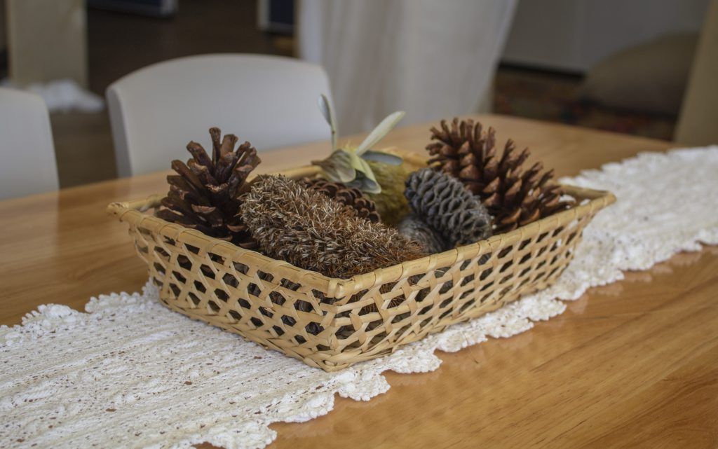 Items from nature. Childcare, kindy, Montessori, Gold Coast, Warwick, Jindabyne.