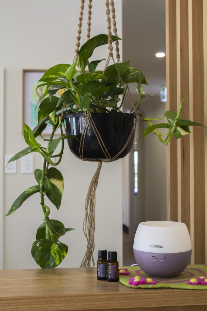Pot plant. Childcare, kindy, Montessori, Gold Coast, Warwick, Jindabyne.